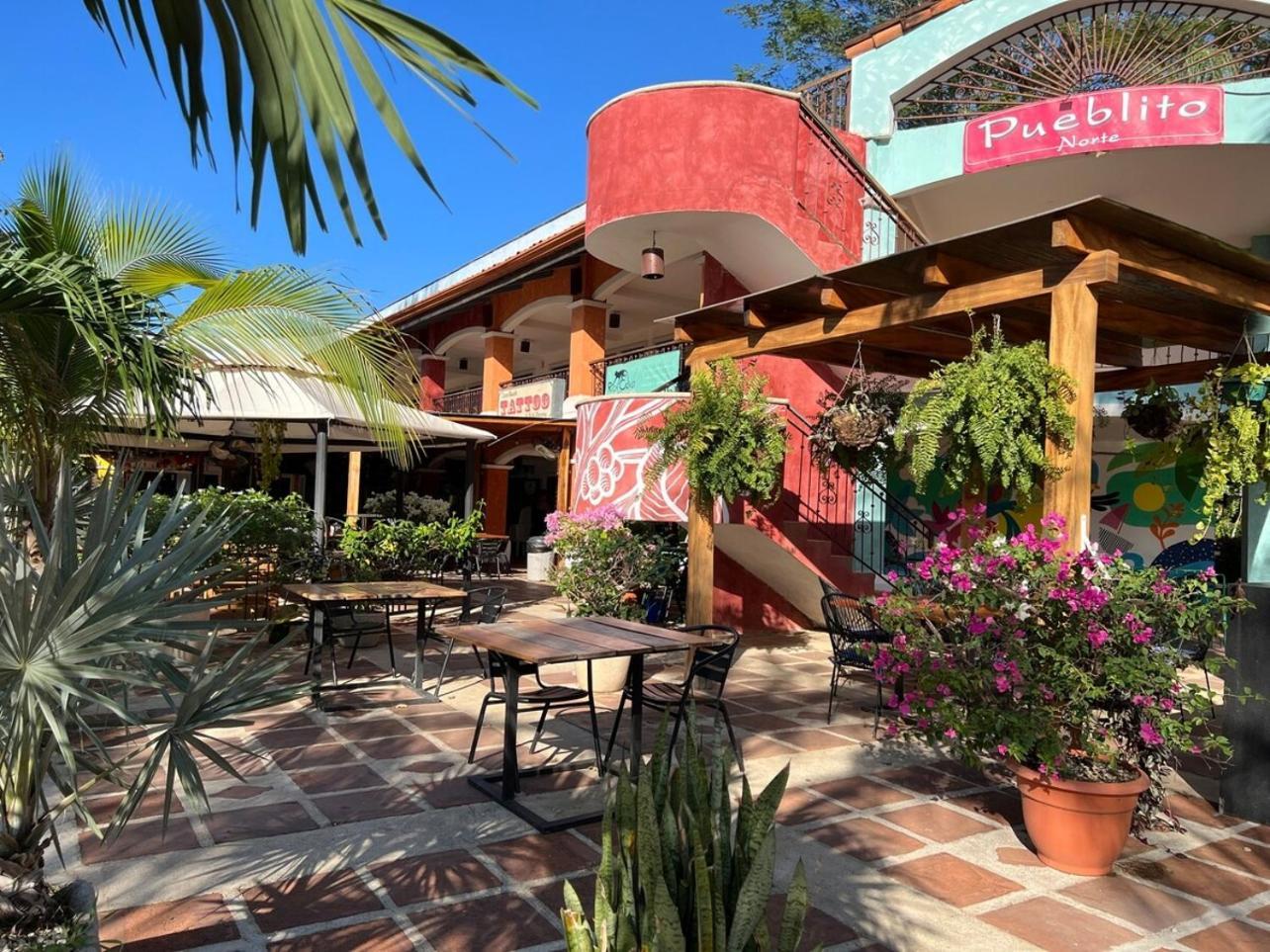 Pura Armonia With Outdoor Patio * Coco